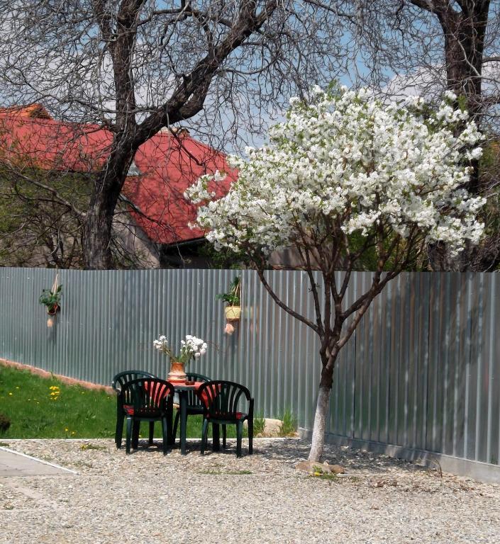 Pension Casa Sibianului ซีบิว ภายนอก รูปภาพ
